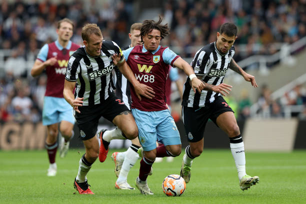 球队更有机 球队更有机