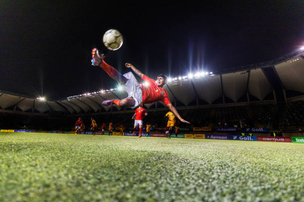 这不仅展现 这不仅展现