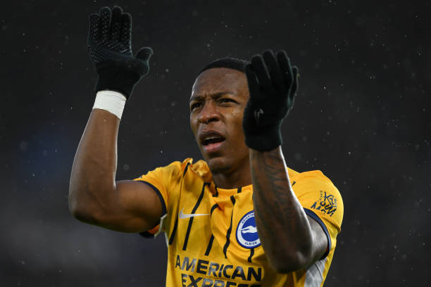 培养也不容 培养也不容